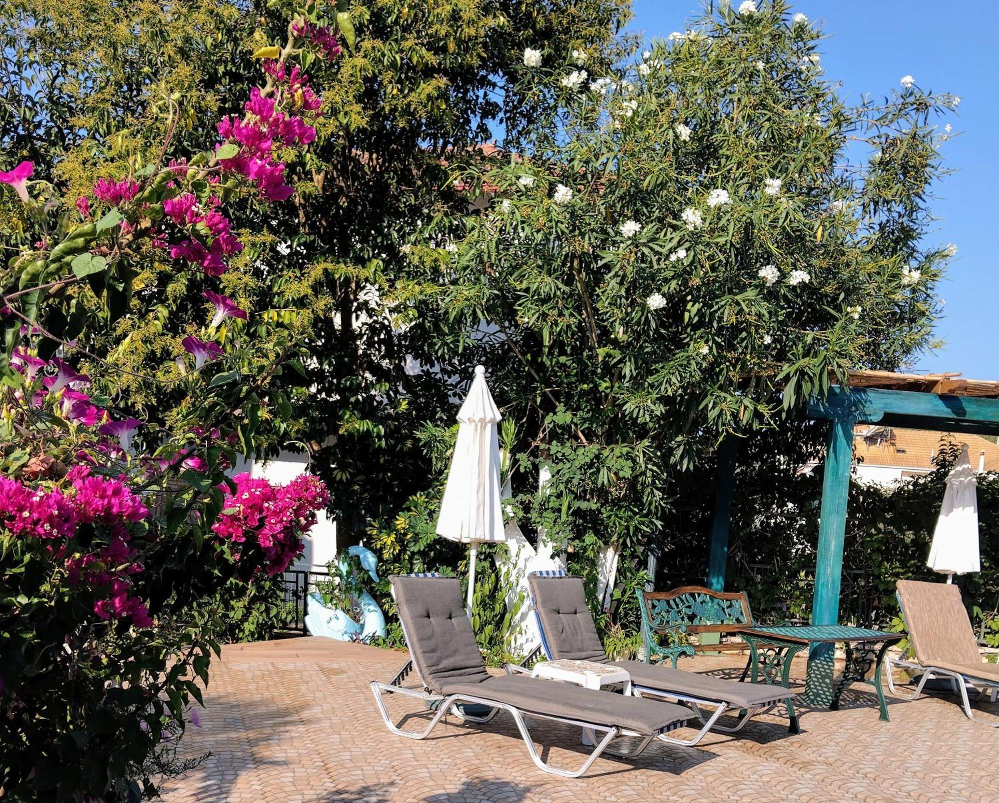 Harmony Resort Parga Exteriér fotografie